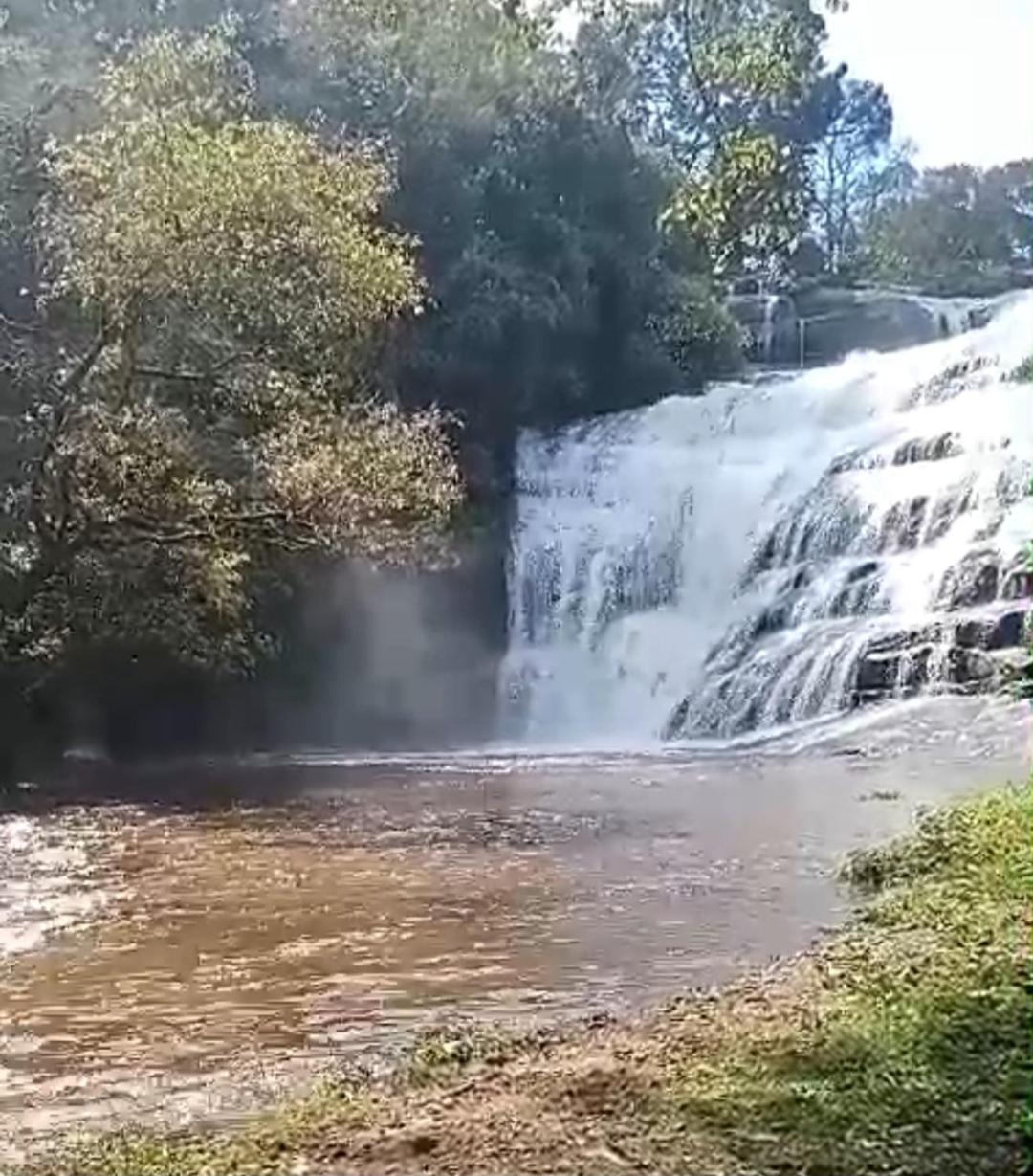 King Of Jungle Ground And Waterfalls Campsite