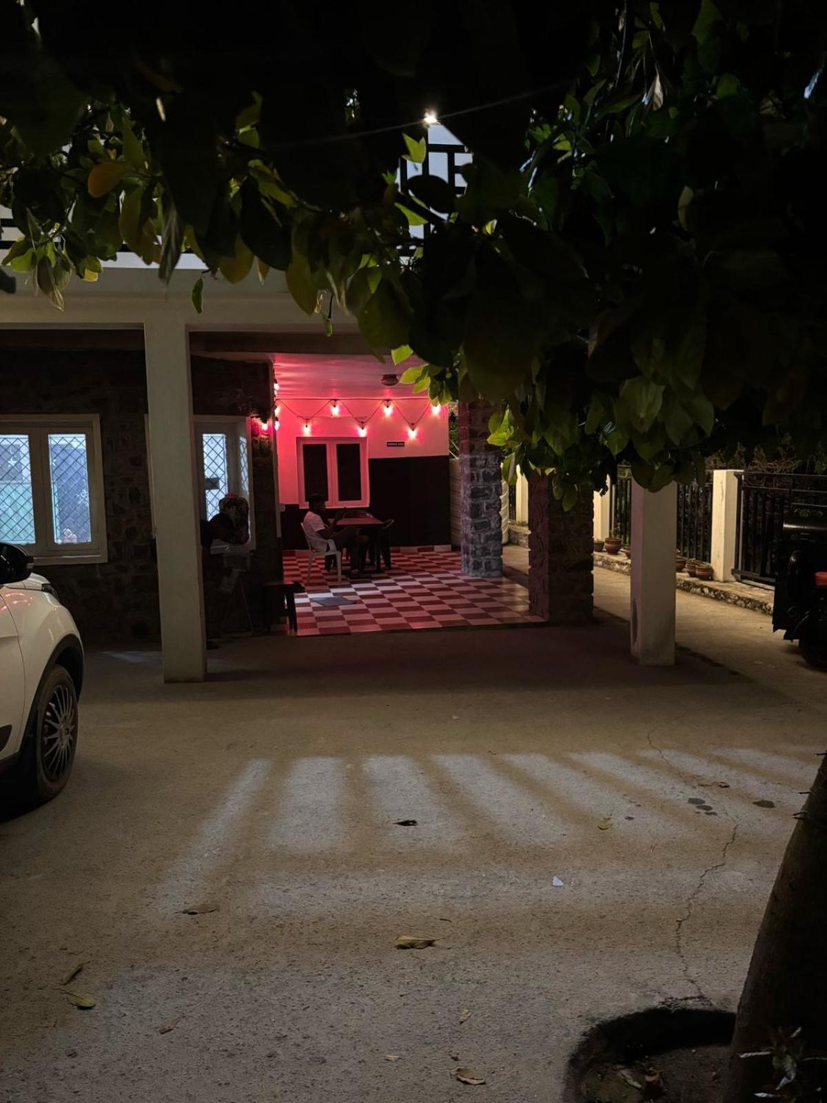 Blooming Nights With Begonia Apartment *