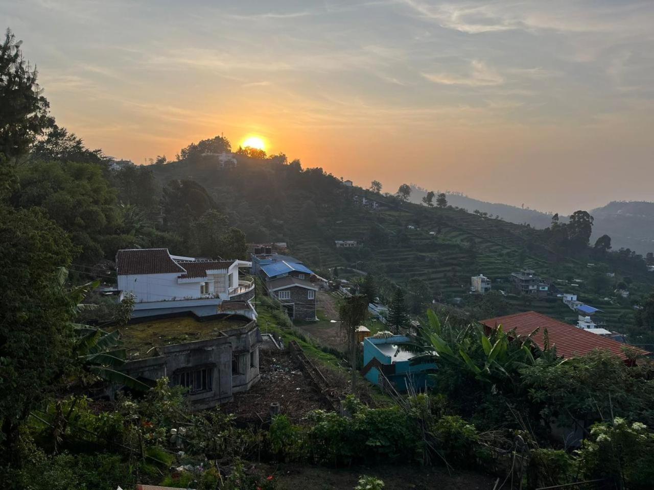 Blooming Nights With Begonia * Kodaikanal