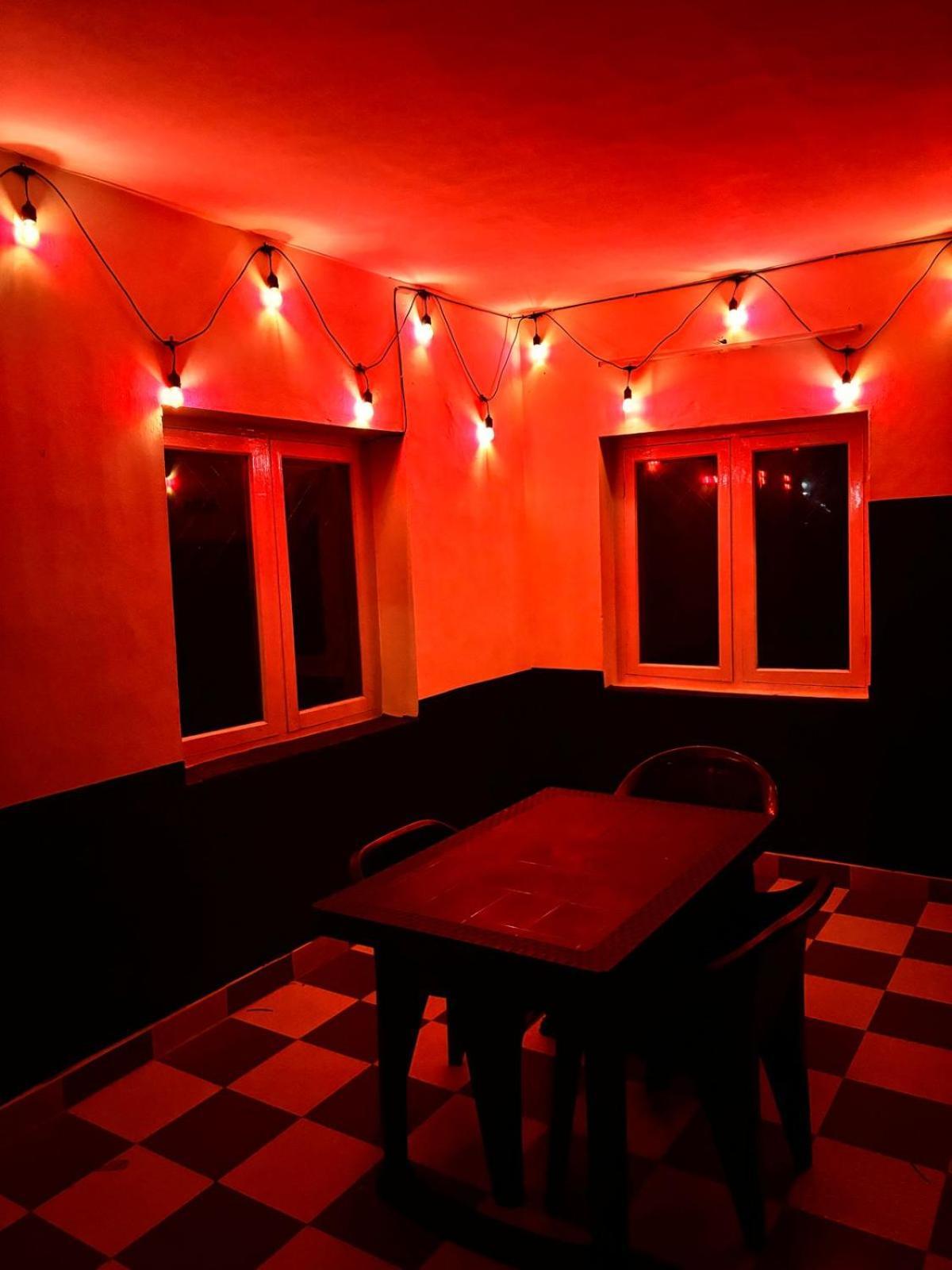 Blooming Nights With Begonia