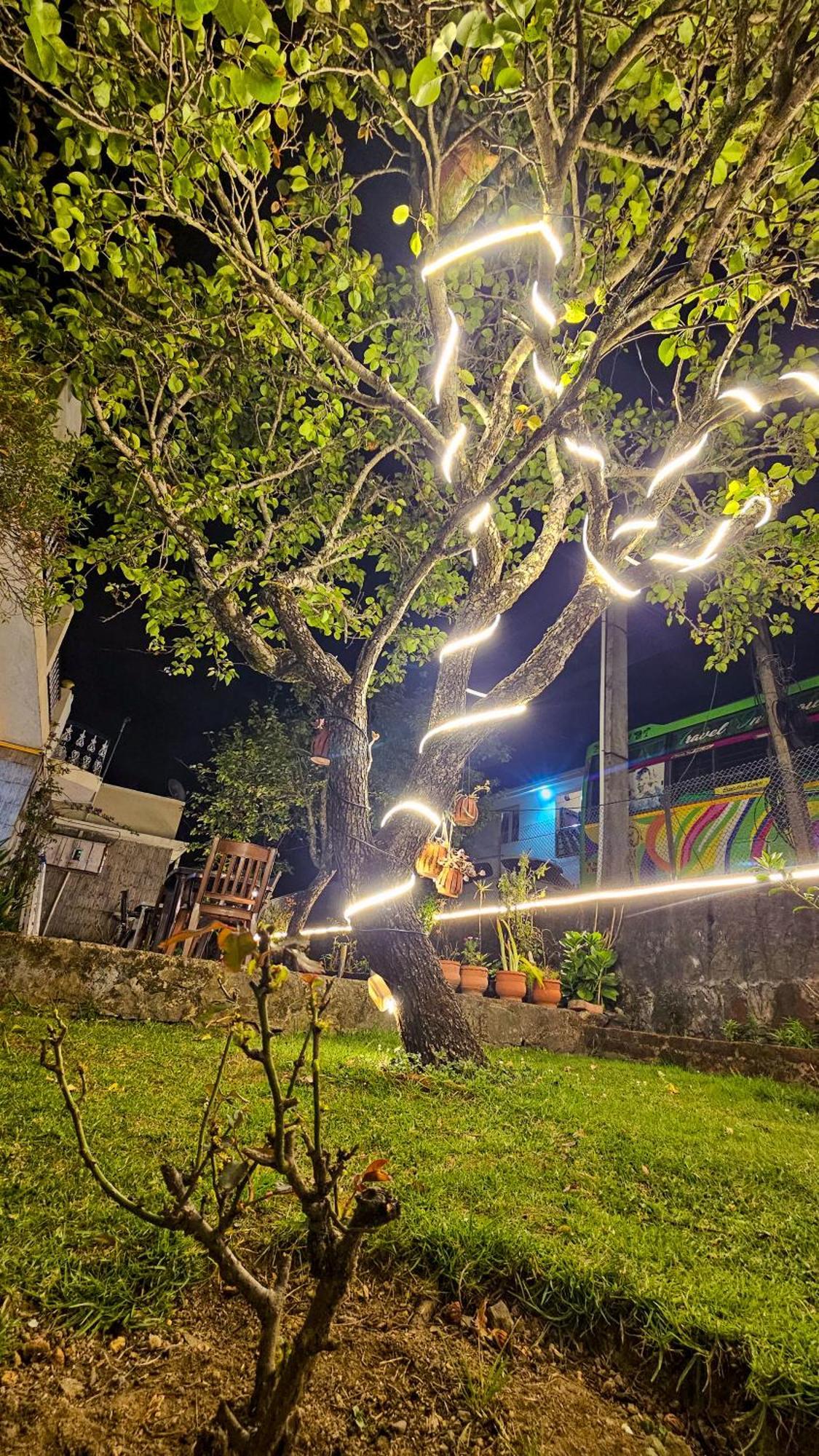 Homestay Vibe Kodai Kodaikanal