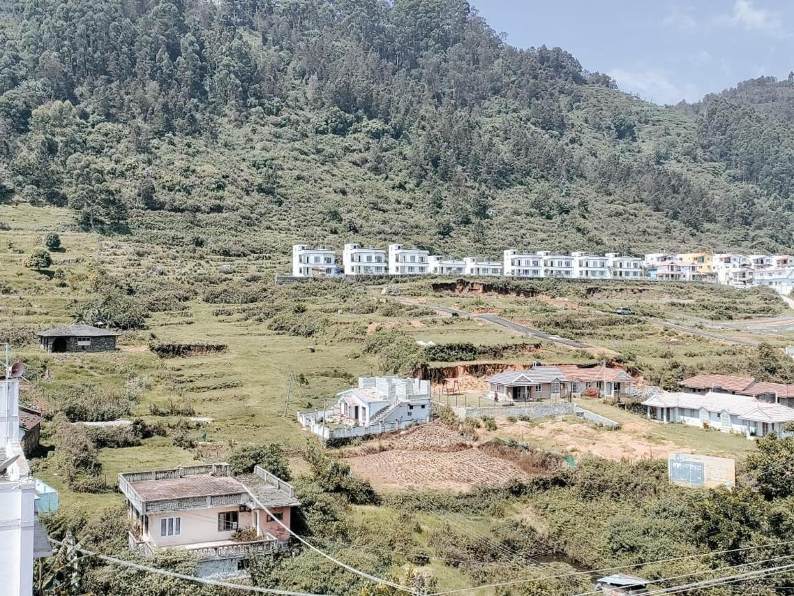 Abi Homestay