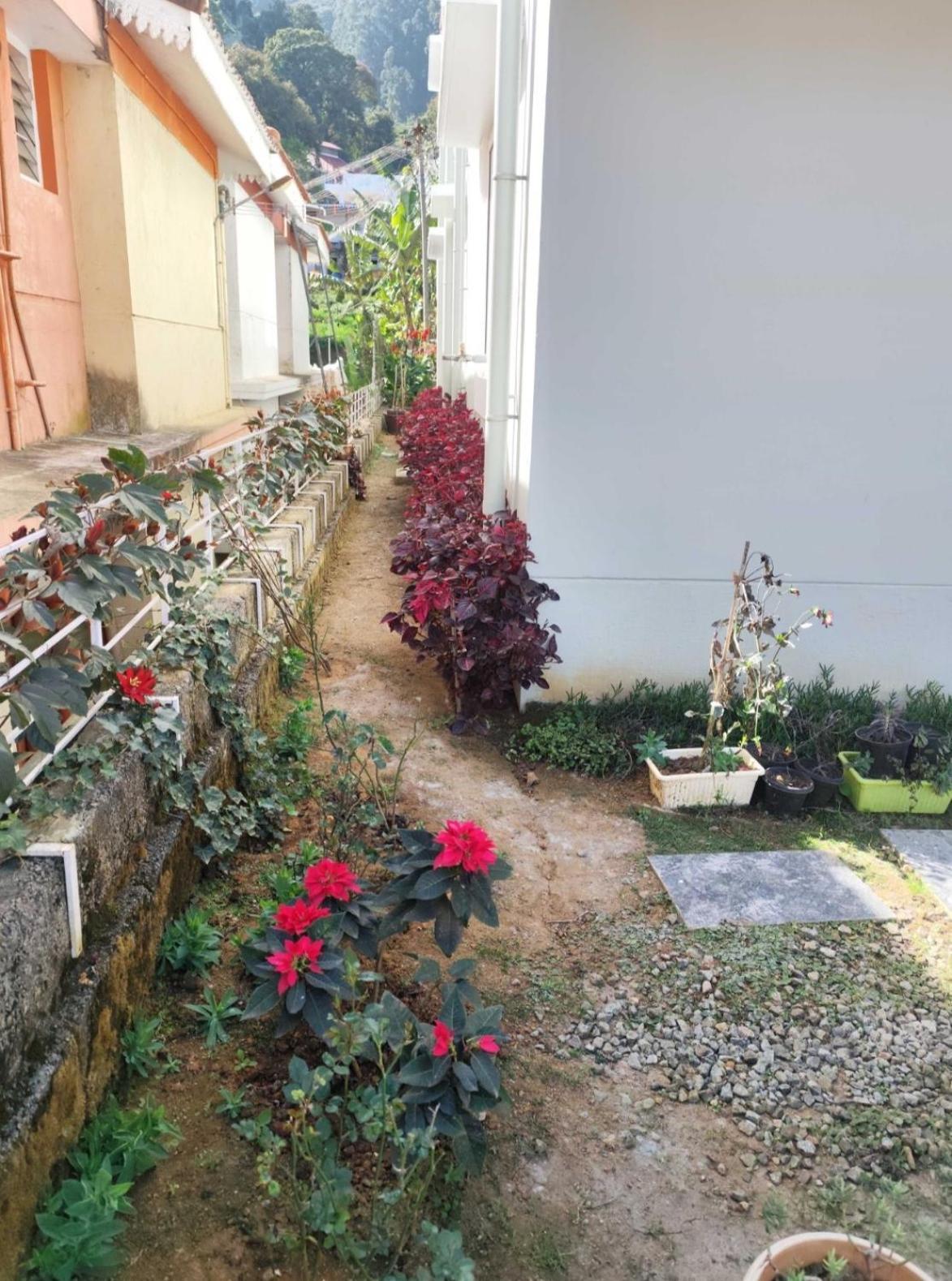 Bed & Breakfast Immerse Kodaikanal