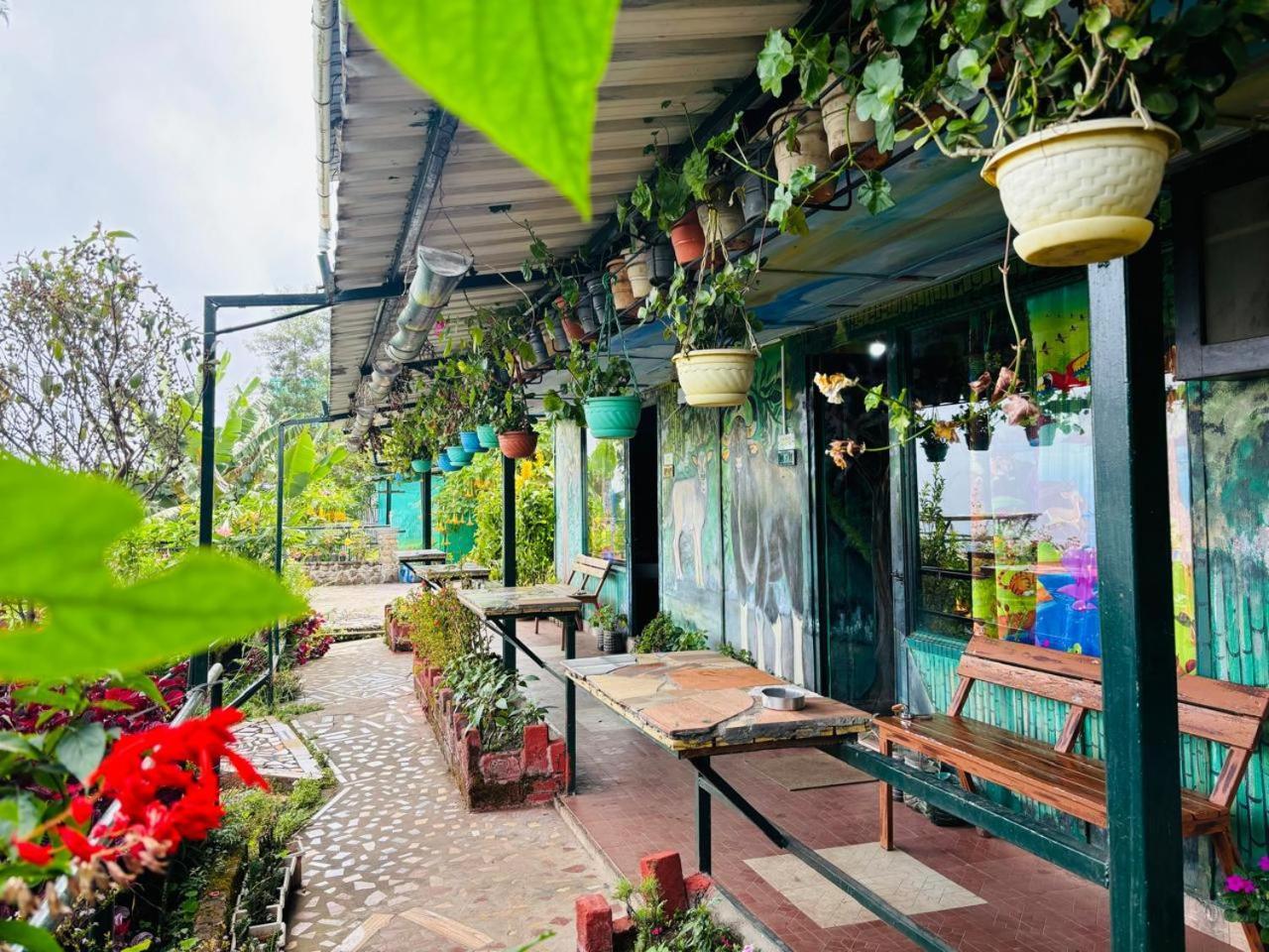 The Kodai Heaven