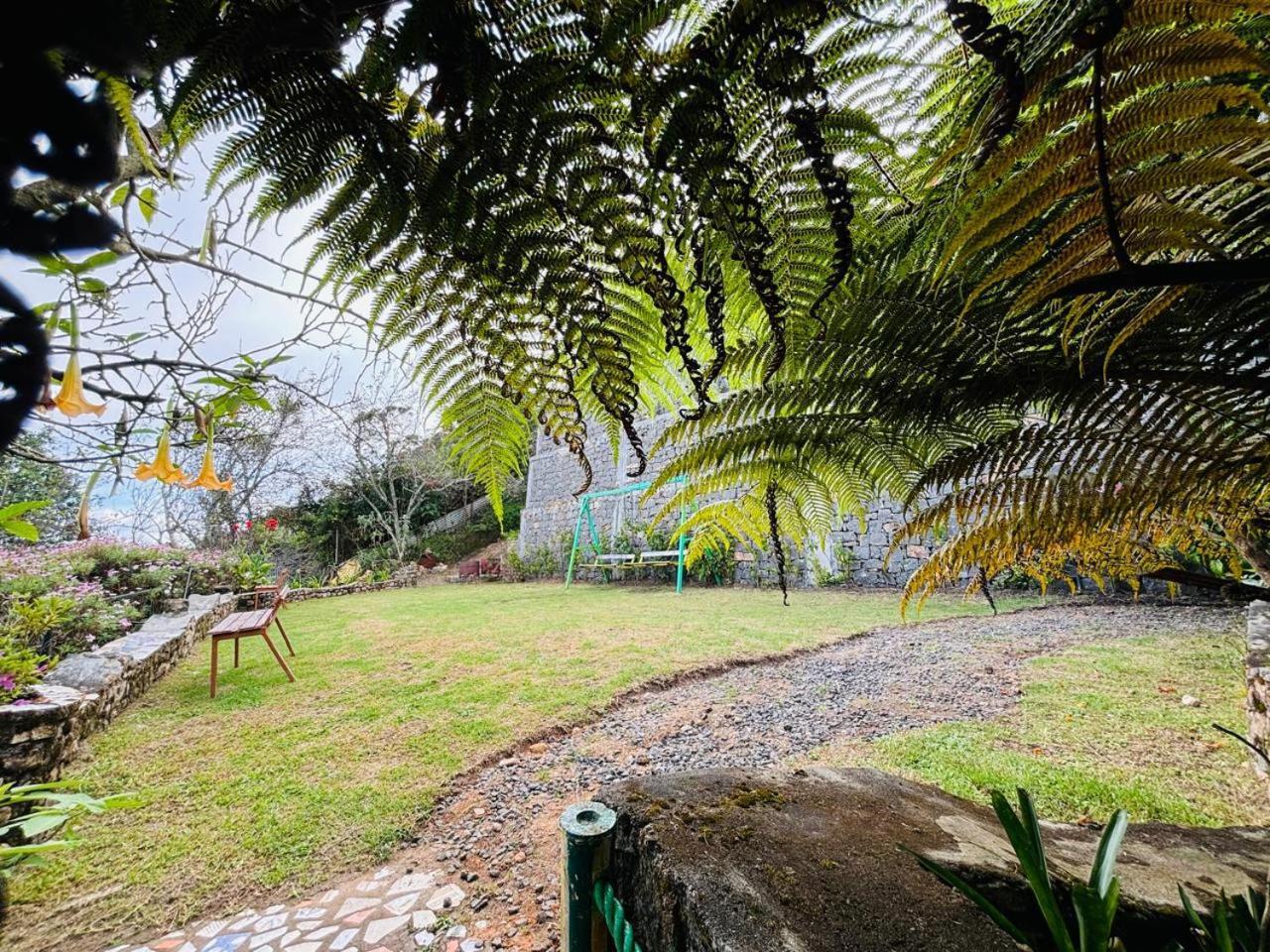 The Kodai Heaven