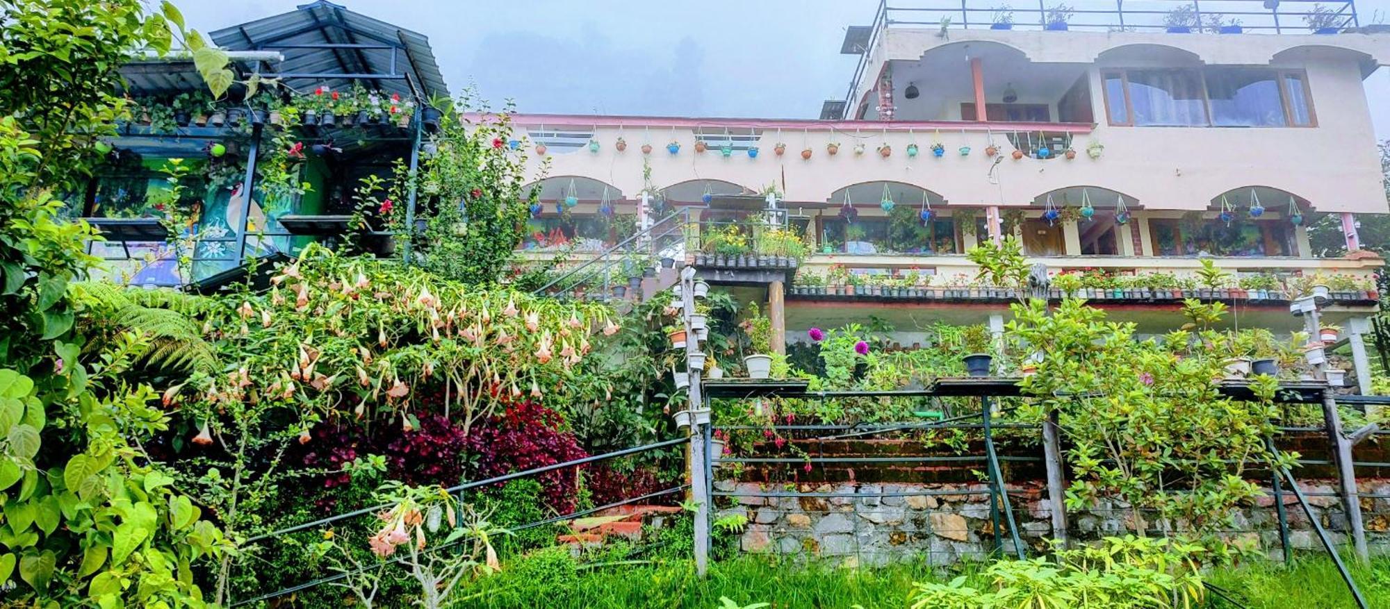 The Kodai Heaven