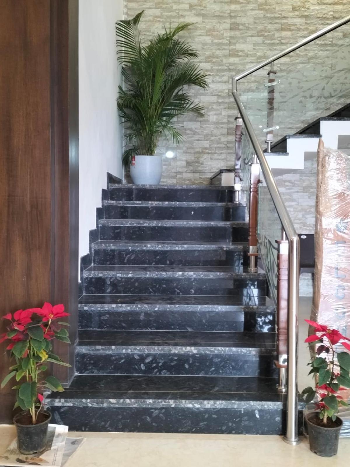 Homestay Glen Mist
