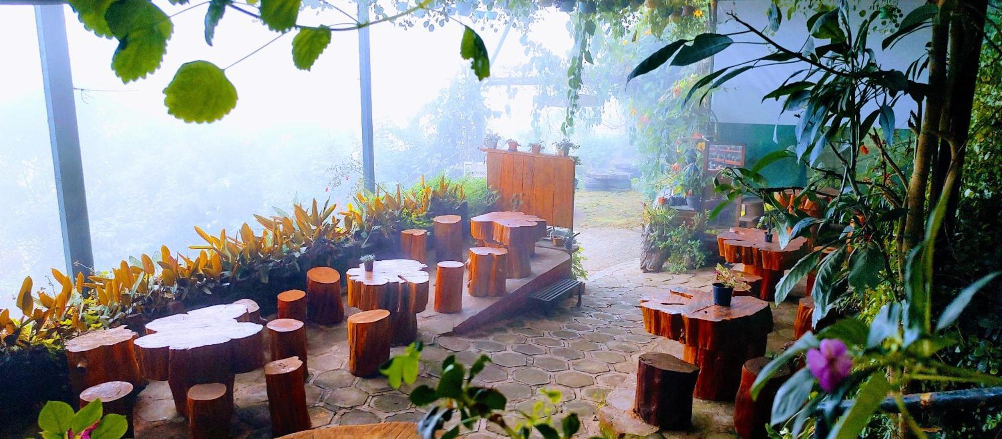 The Kodai Heaven Resort *