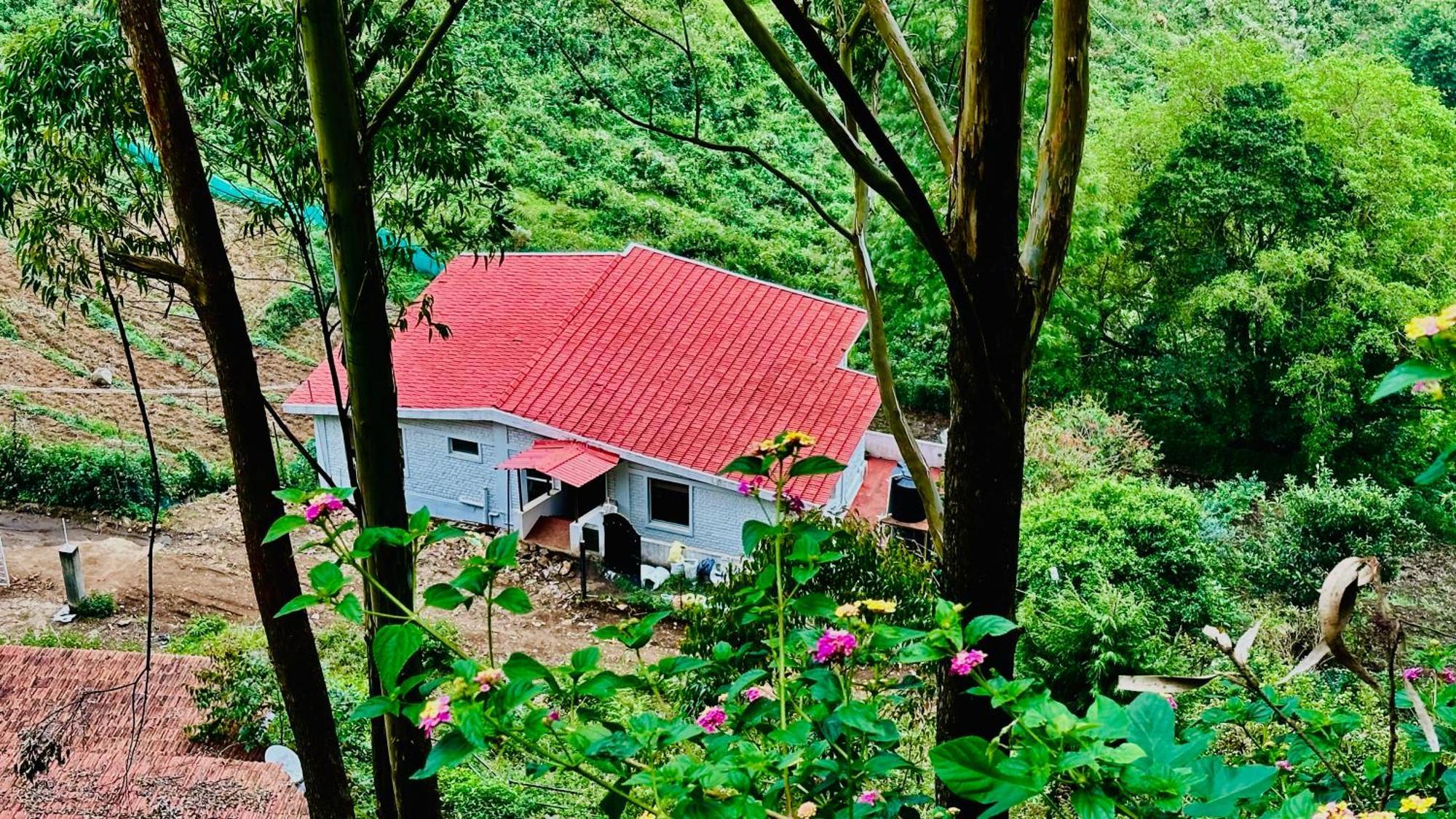 The White Oaks Bed & Breakfast *
