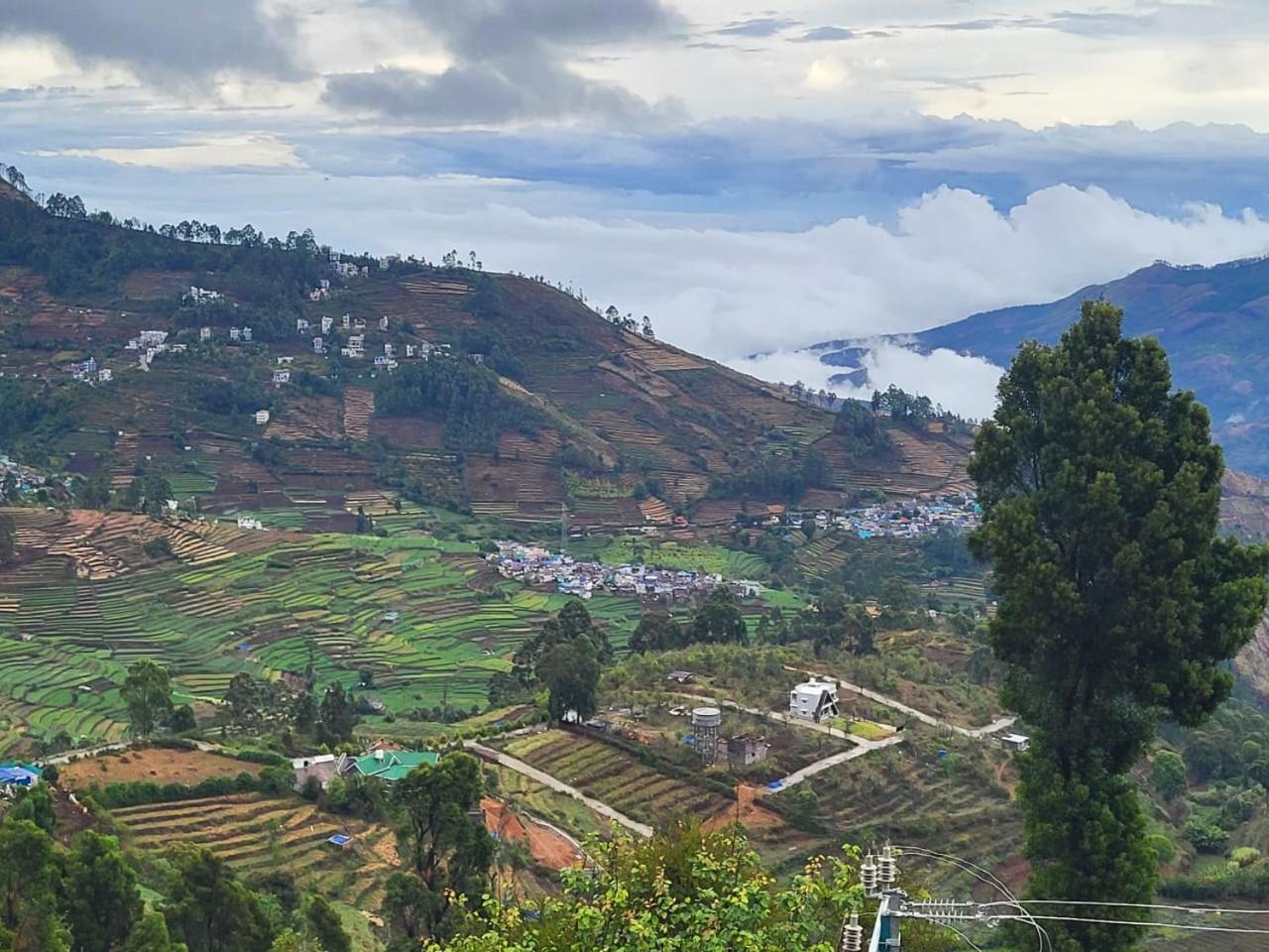 Homestay Glen Mist *