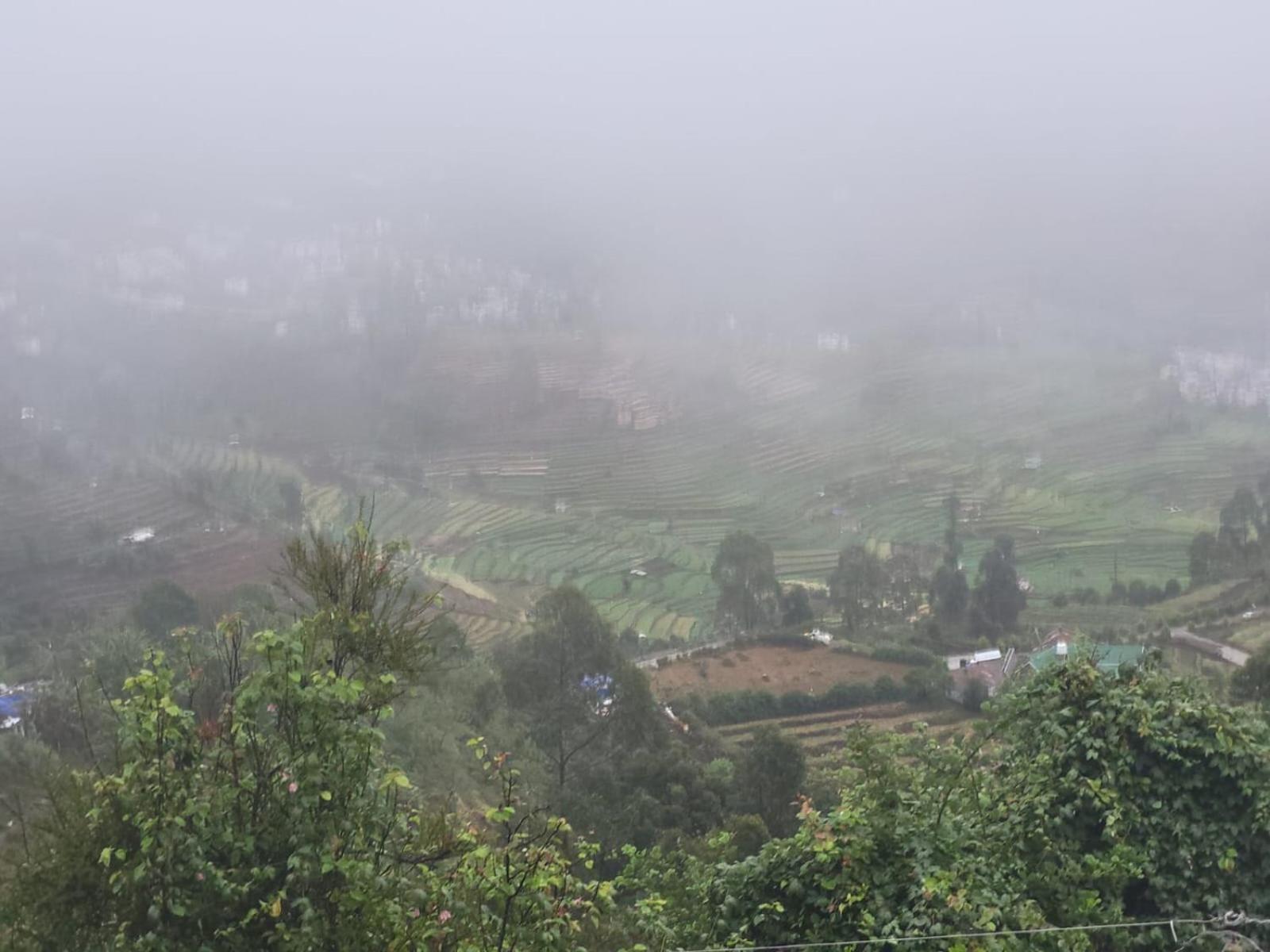 Homestay Glen Mist