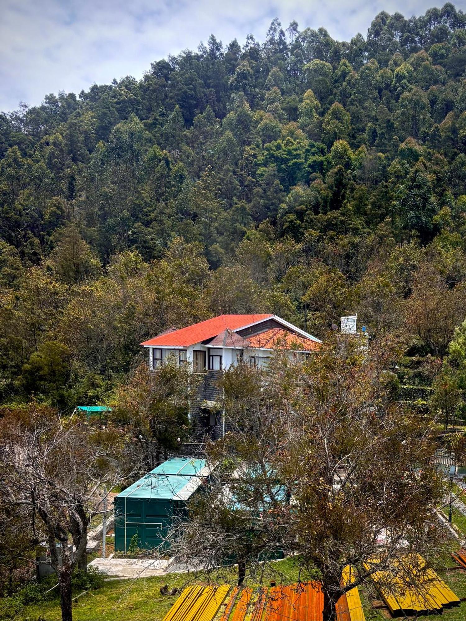 11 Haven Street Hotel