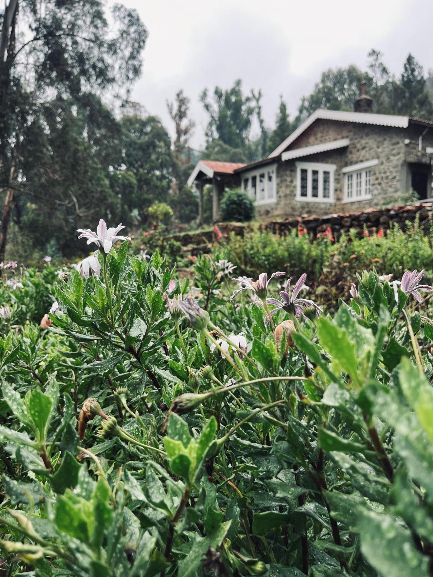 Springdale * Kodaikanal