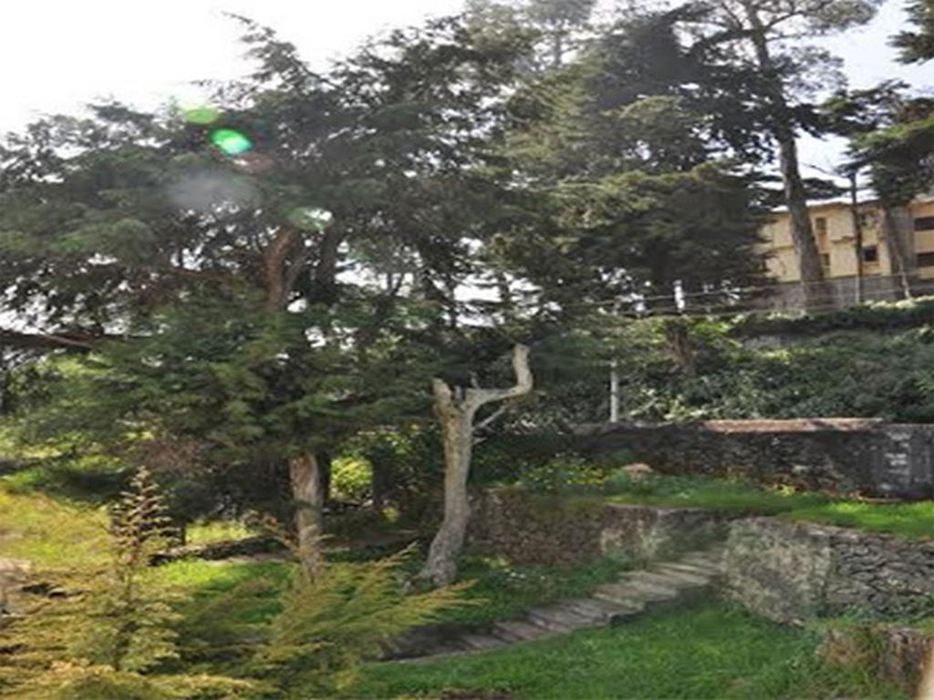 Hill Heaven * Kodaikanal