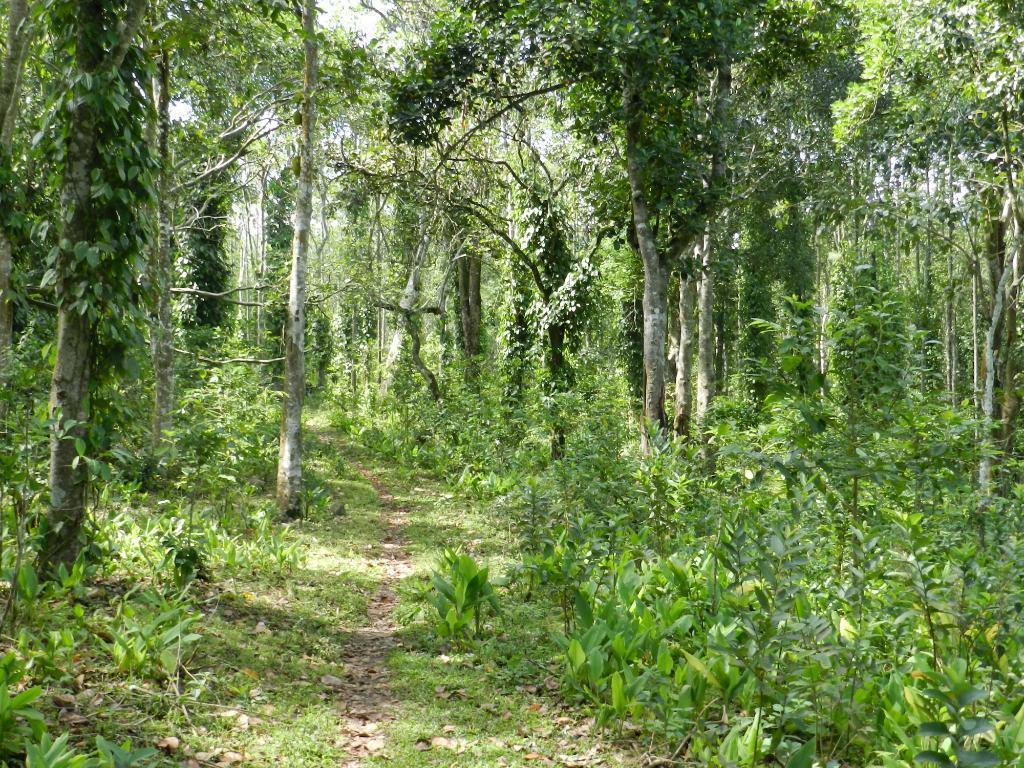 Elephant Valley Eco Farm Resort 2*
