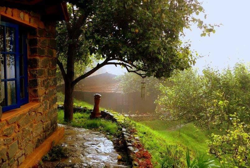 The Seven Sisters Farm Holiday home Kodaikanal