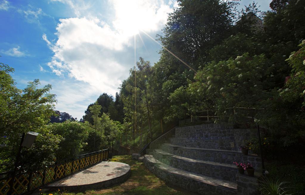 Hotel Pine Borough Kodaikanal