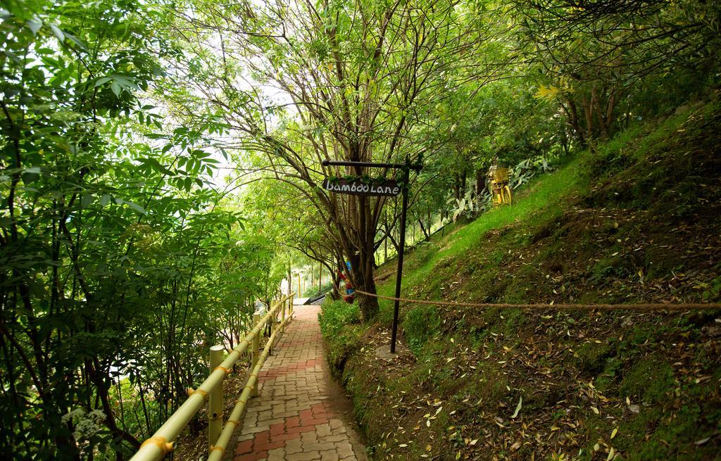 Pine Borough Kodaikanal