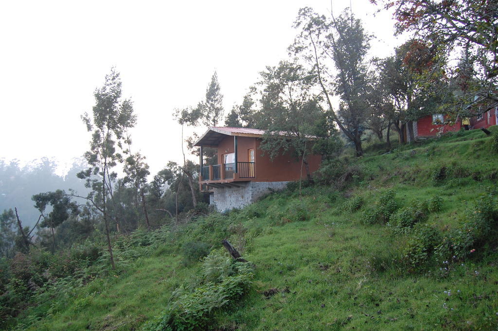 Bed & Breakfast Surya Holidays