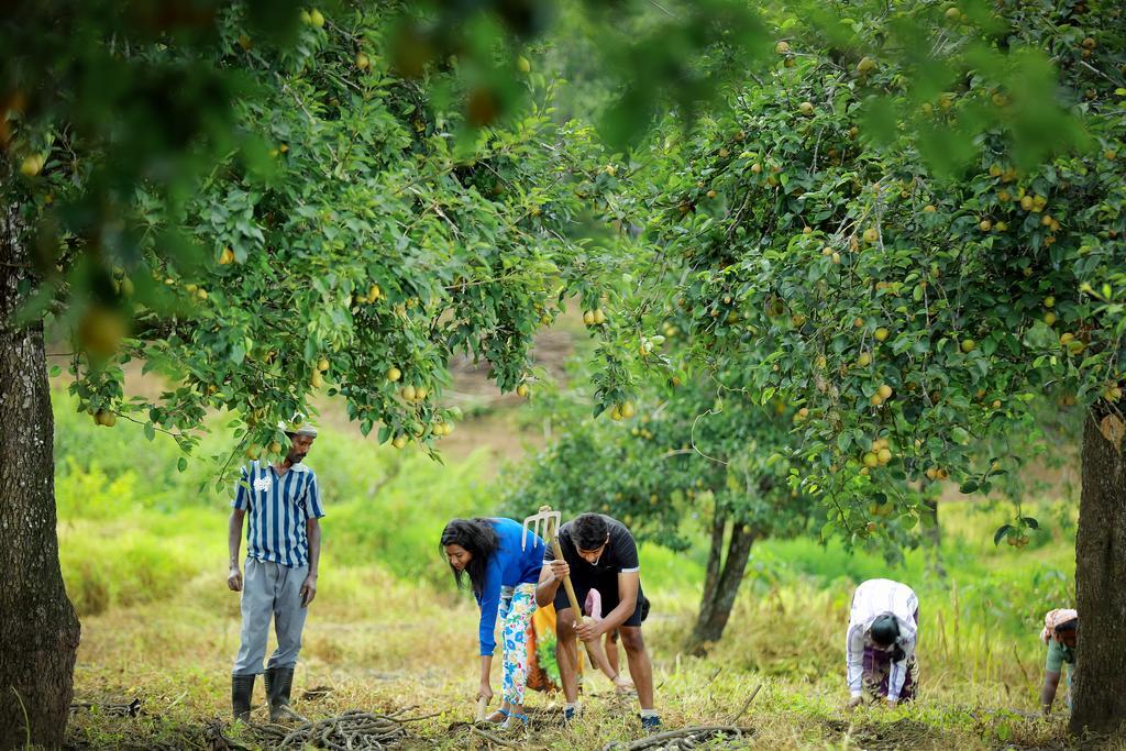 The Pear County Farm stay Kodaikanal