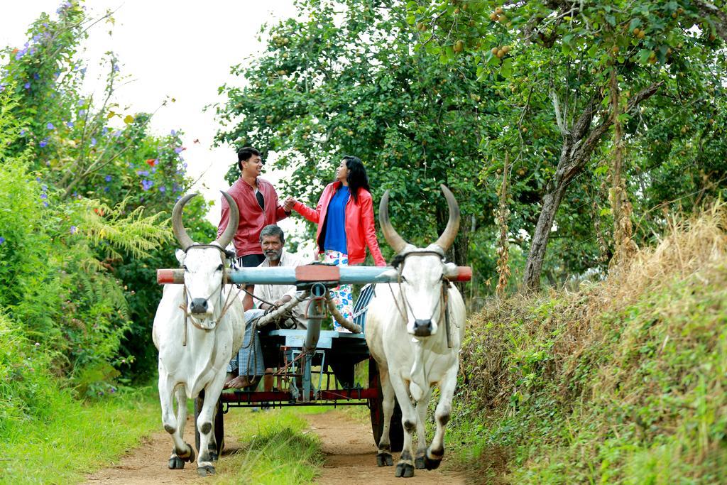 Farm stay The Pear County Kodaikanal