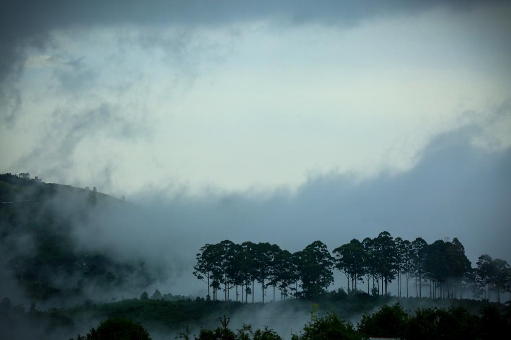 The Pear County Kodaikanal