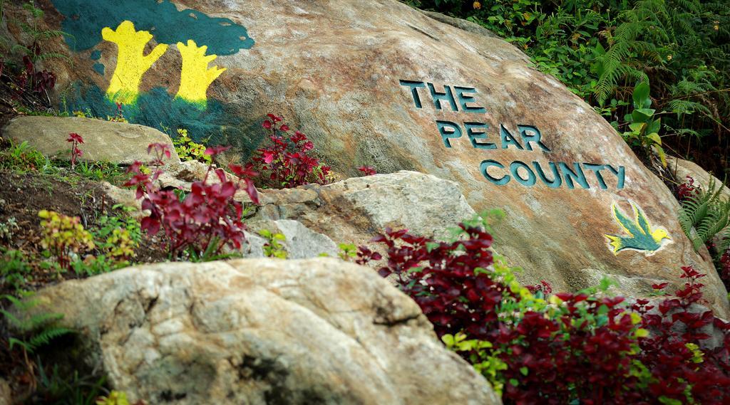 The Pear County Kodaikanal