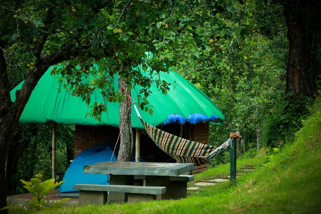 The Pear County Farm stay *