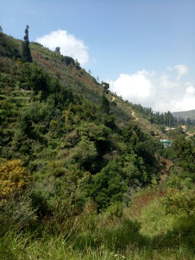 Villa Holidays And Celebrations Kodaikanal