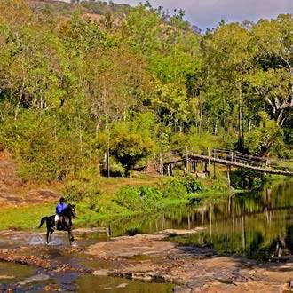 Elephant Valley Eco Farm Resort