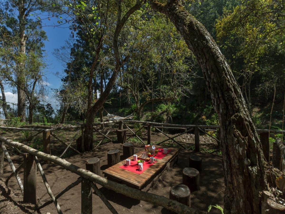 Saffronstays Kurinji Estate Villa