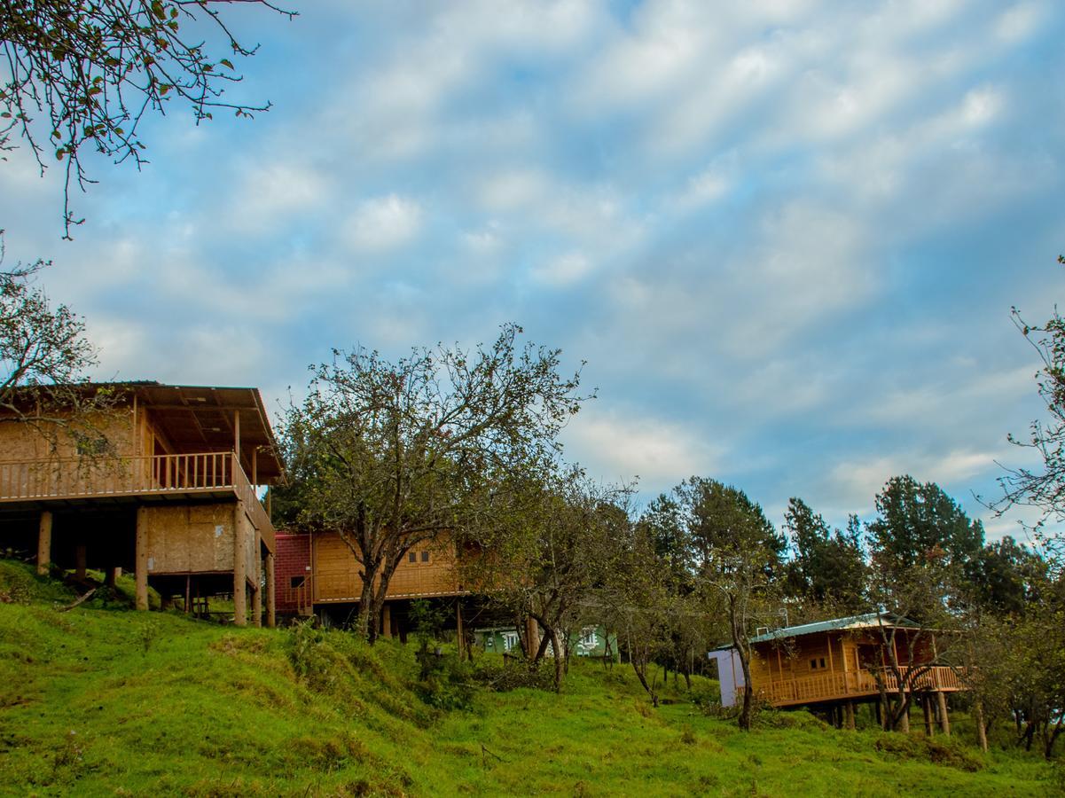 Shafa Wood House Homestay Kodaikanal