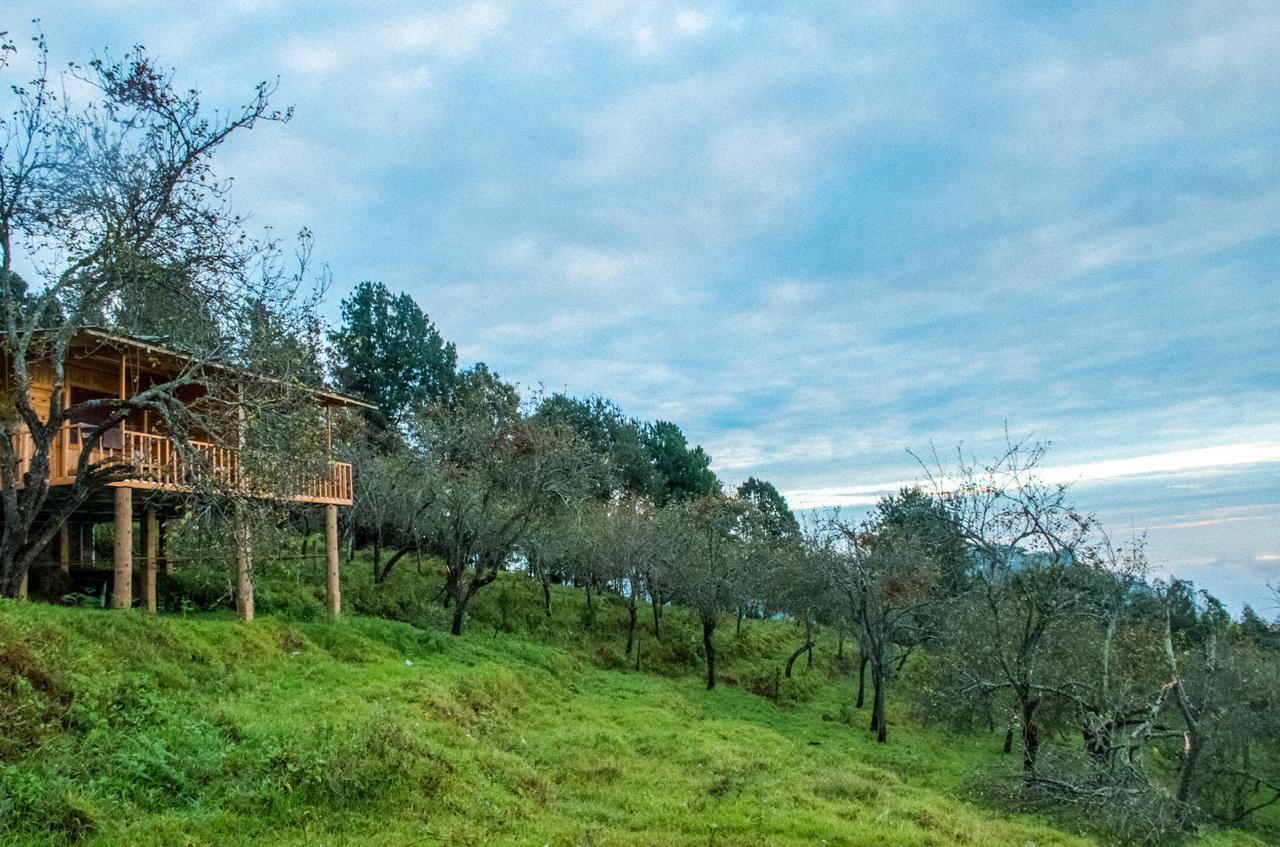 Shafa Wood House Homestay Kodaikanal