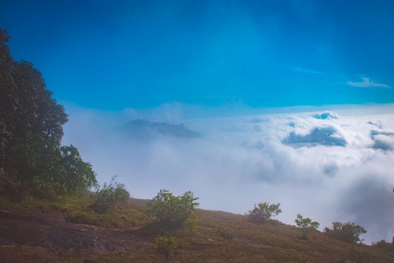 Shafa Wood House Homestay Kodaikanal