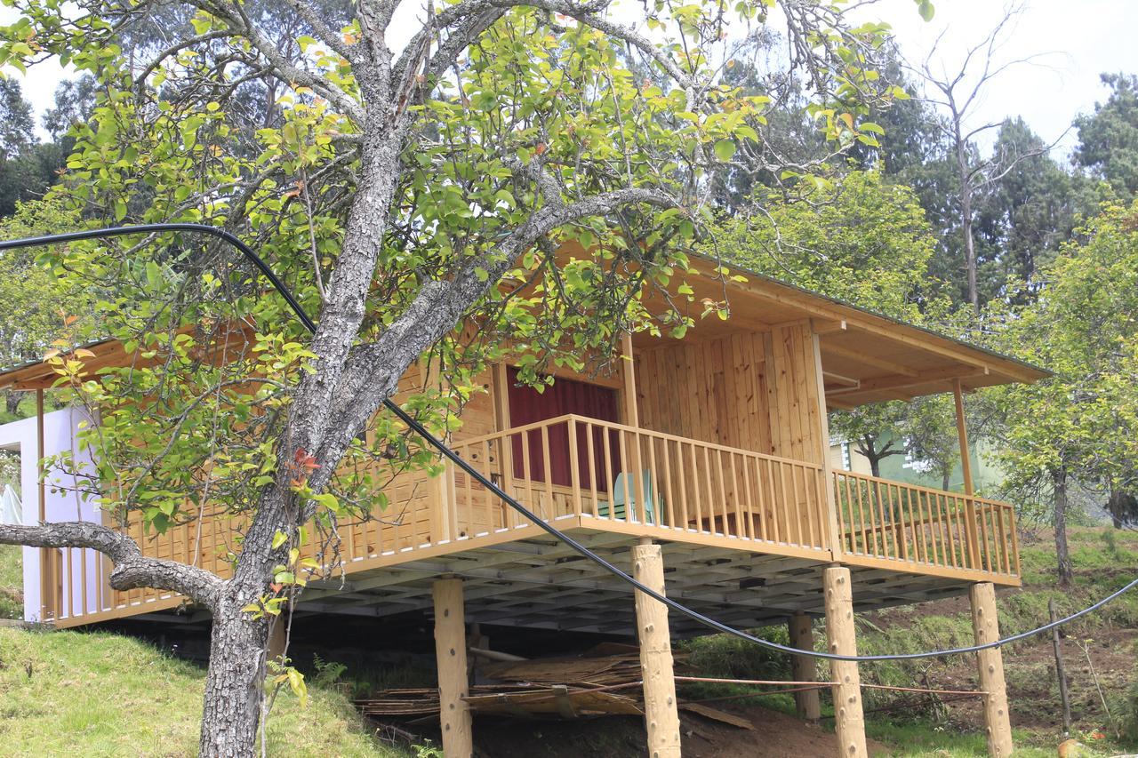 Shafa Wood House Homestay