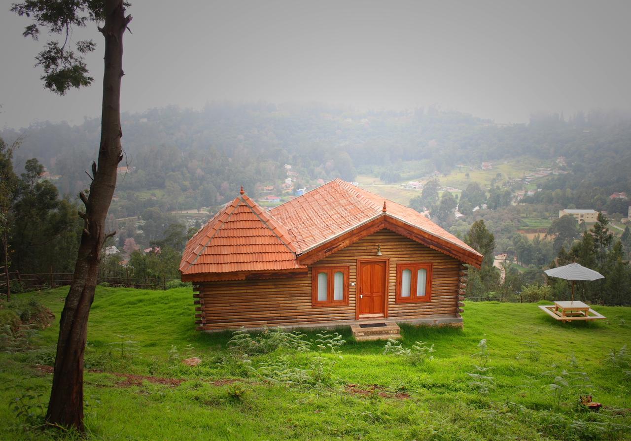 Bed & Breakfast Surya Holidays