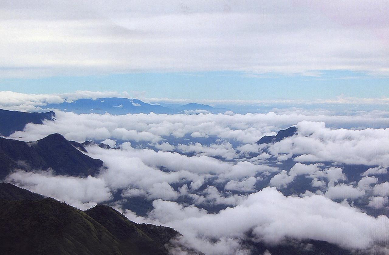 The Kodai Heaven *