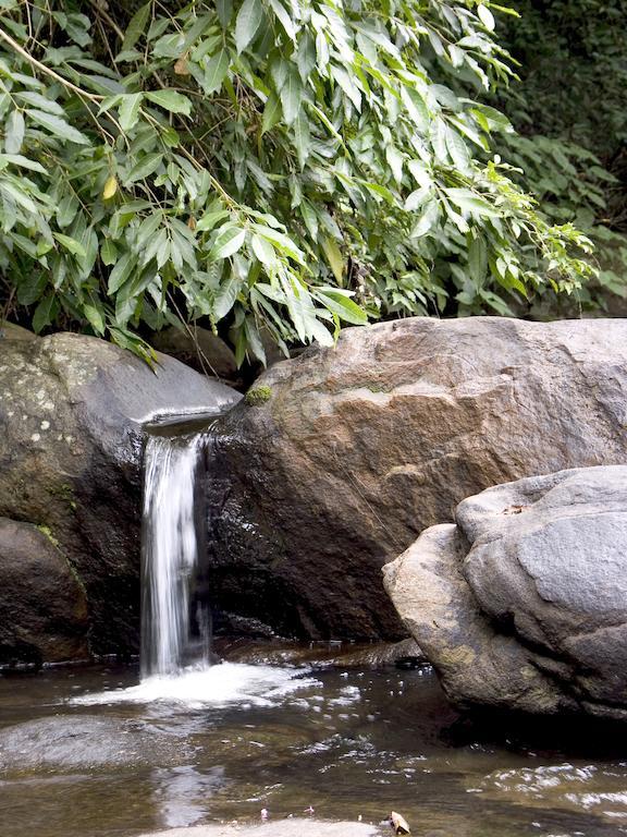 Resort Elephant Valley Eco Farm 2*
