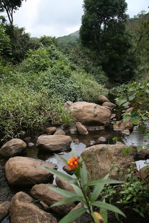 Resort Elephant Valley Eco Farm Kodaikanal