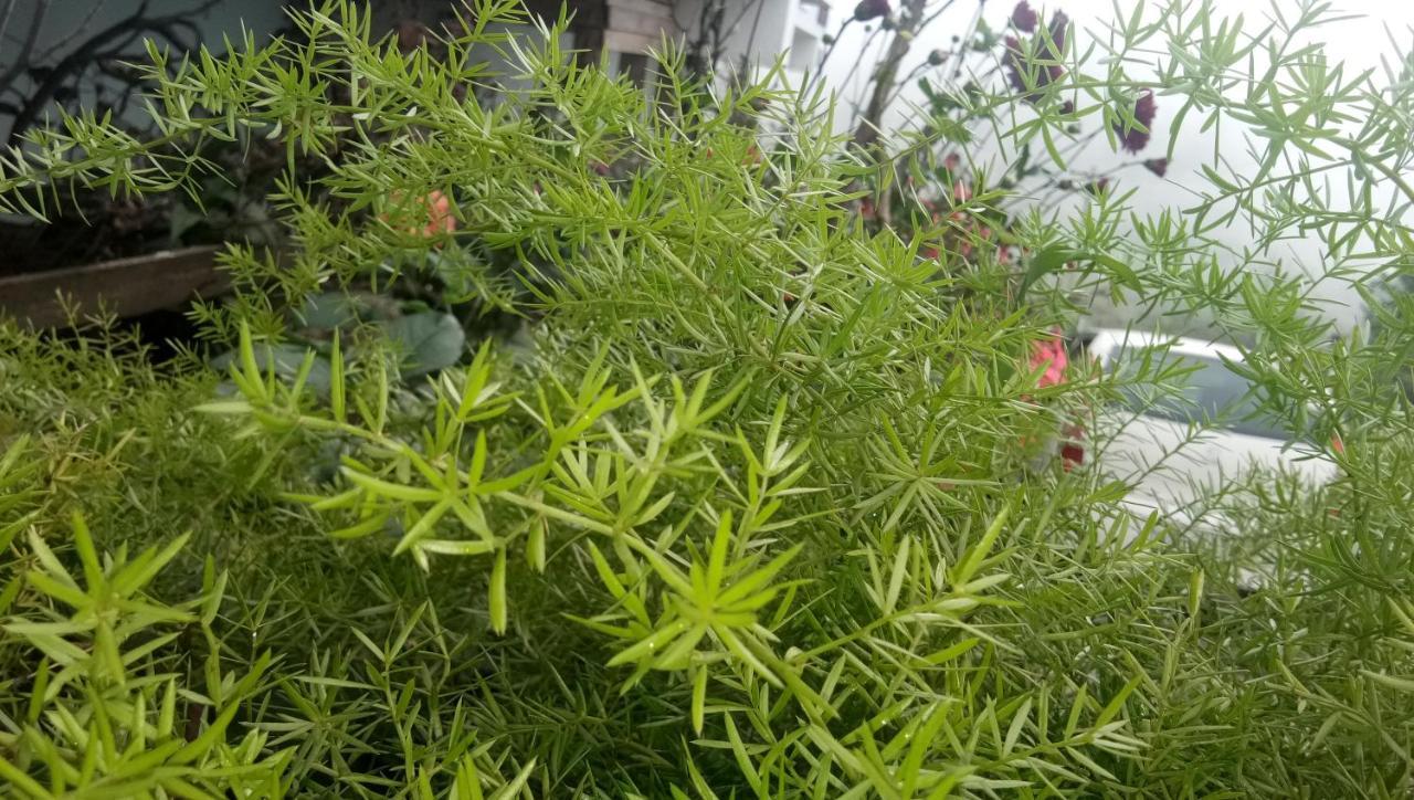 Ezhil Residency Hotel