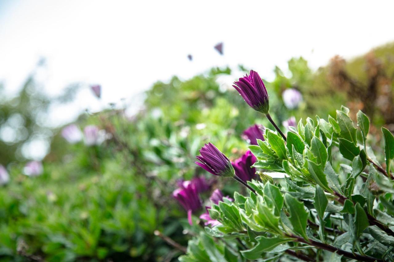 The Xanadu Meghadootam Homestay Kodaikanal