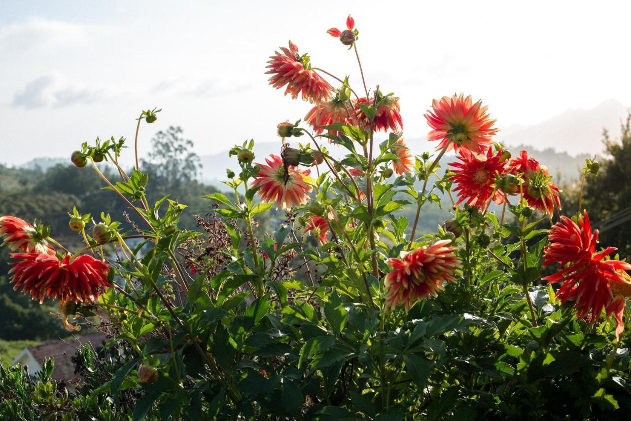 The Xanadu Birkenhead Kodaikanal