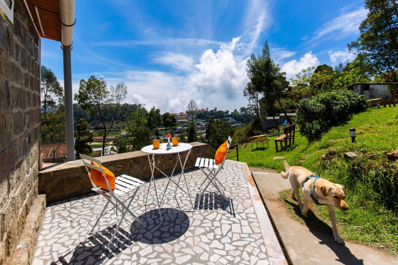 Hostel Zostel
