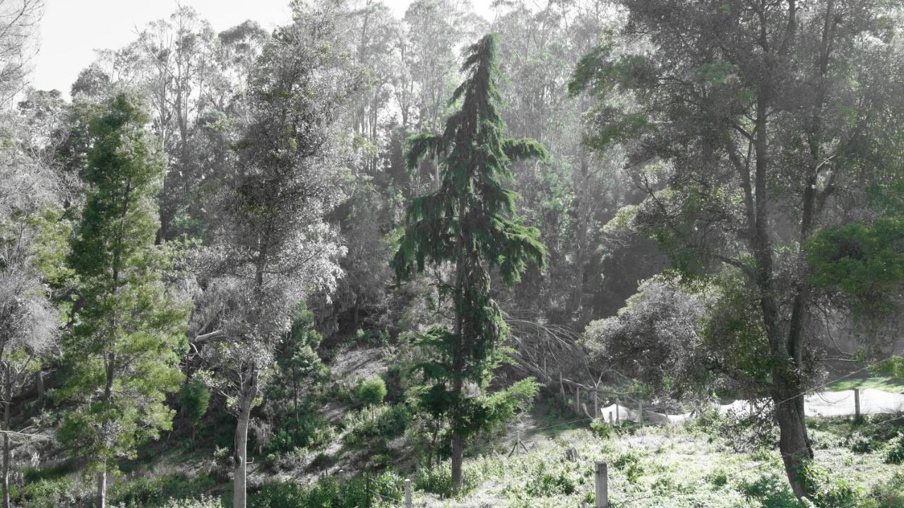 Western Valley Homestays Homestay *