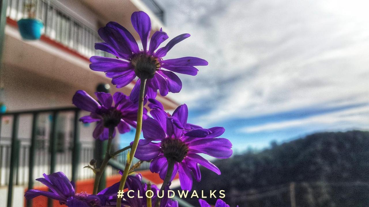 Cloudwalks * Kodaikanal