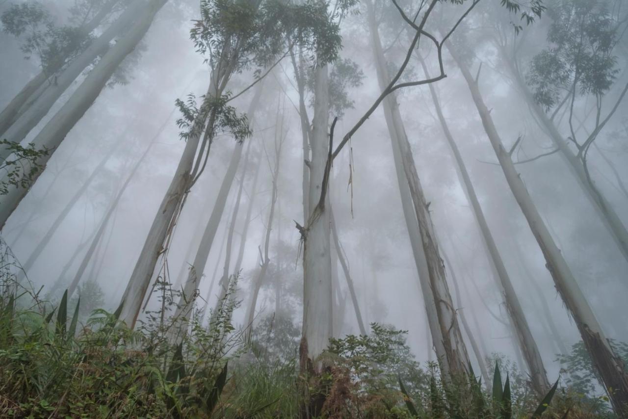 Saffronstays Kurinji Estate Kodaikanal