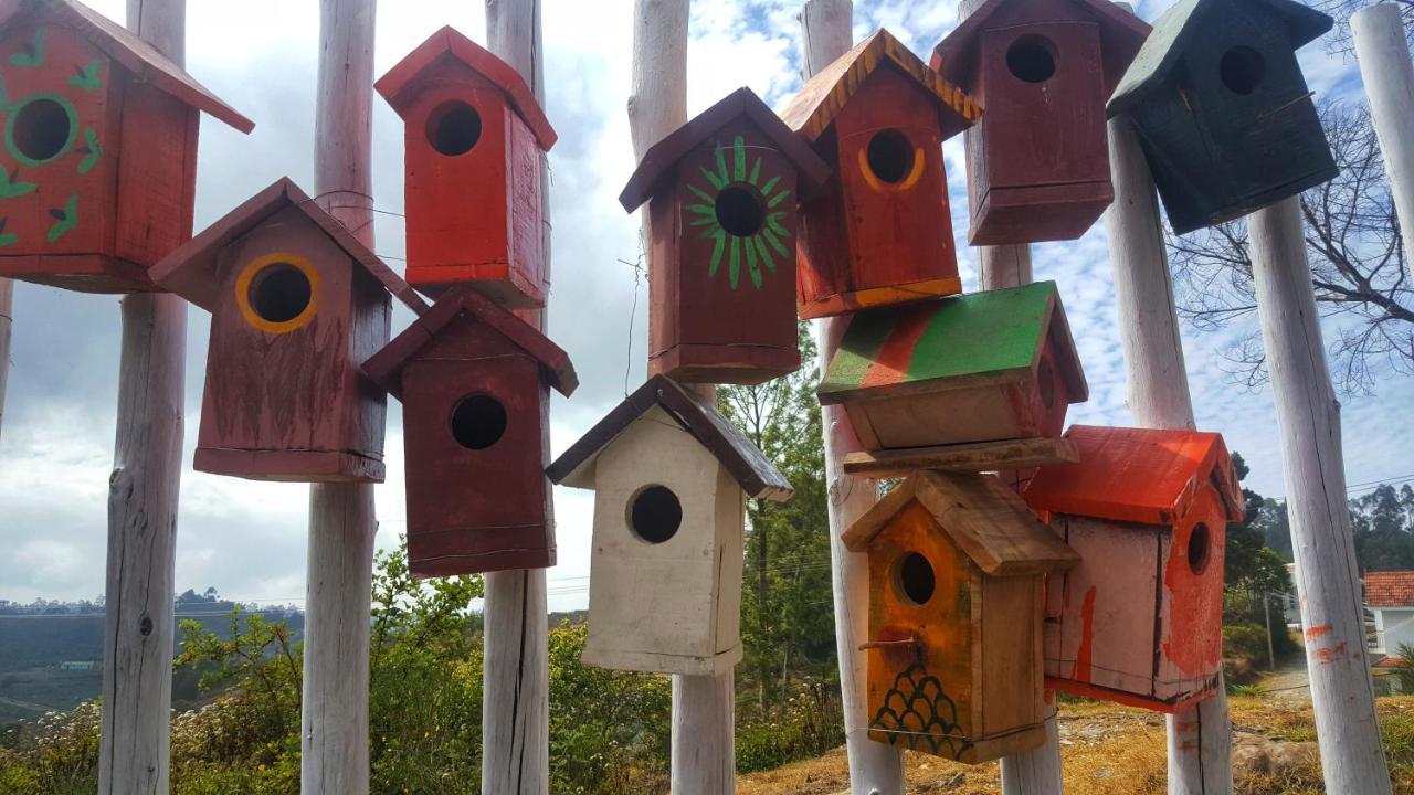 Cloudwalks Homestay