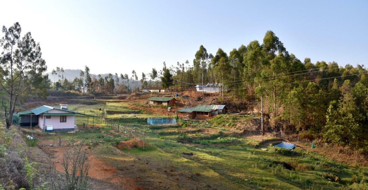 Adhiti Farm Farm stay