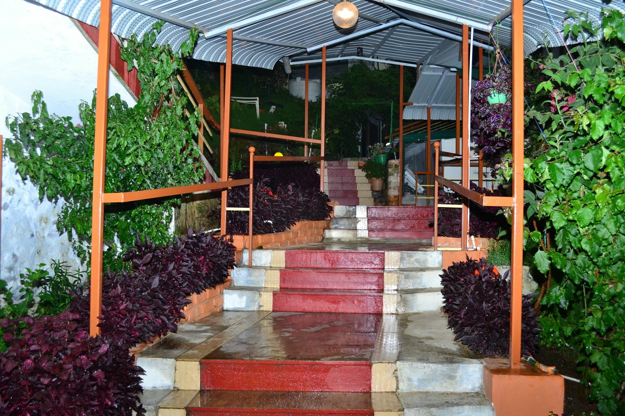 Kodai Sunshine Resort Resort 3*