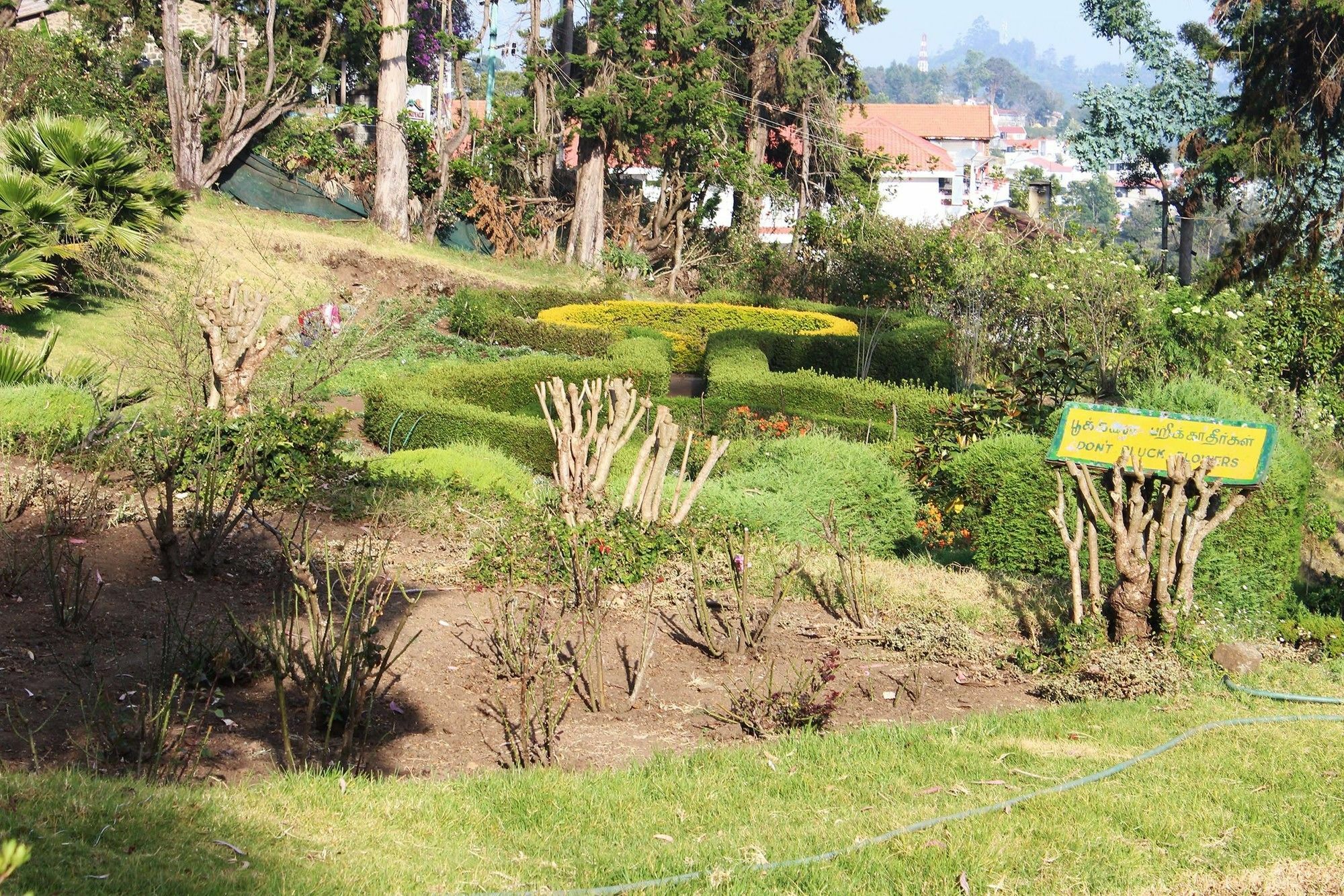Alegria 3* Kodaikanal